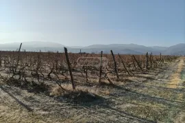 Land For Sale, Agricultural, Akhmeta