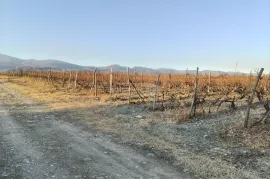 Land For Sale, Agricultural, Akhmeta