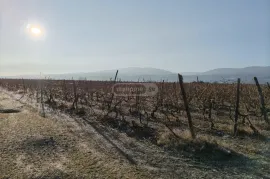 Land For Sale, Agricultural, Akhmeta