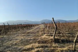 Land For Sale, Agricultural, Akhmeta