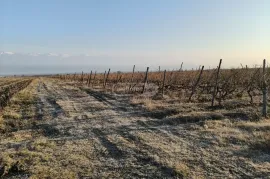 Land For Sale, Agricultural, Akhmeta