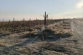 Land For Sale, Agricultural, Akhmeta