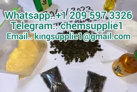 იყიდება მიწის ნაკვეთი, სპეციალური, ადიგენი 