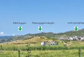 Land For Sale, Non Agricultural, Lisi lake