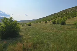 Land For Sale, Non Agricultural, Lisi lake