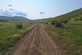 Land For Sale, Non Agricultural, Lisi lake