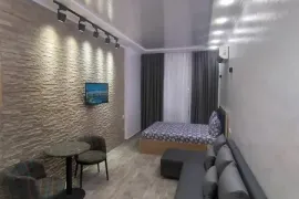 Аренда квартир посуточно, 1 Kомнатная, Новостройка, Батуми