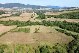 იყიდება მიწის ნაკვეთი, სასოფლო - სამეურნეო, ტუშურები