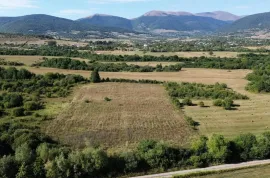 Продается Земля, Сельскохозяйственные, Tushurebi