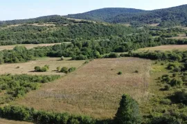 იყიდება მიწის ნაკვეთი, სასოფლო - სამეურნეო, ტუშურები