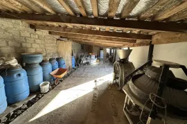 Land For Sale, Agricultural, Kobuleti