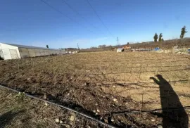 Продается Земля, Сельскохозяйственные, Кобулети