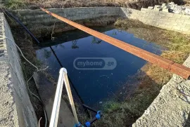 Land For Sale, Agricultural, Kobuleti