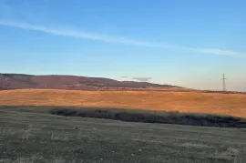 იყიდება მიწის ნაკვეთი, სასოფლო - სამეურნეო, ლილო