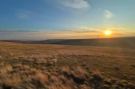 იყიდება მიწის ნაკვეთი, სასოფლო - სამეურნეო, ლილო