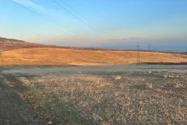 იყიდება მიწის ნაკვეთი, სასოფლო - სამეურნეო, ლილო