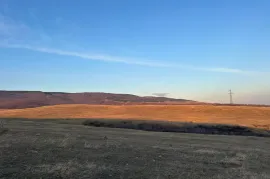 იყიდება მიწის ნაკვეთი, სასოფლო - სამეურნეო, ლილო