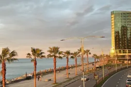 Apartment for sale, 2 Room, New building, Batumi, Airport District