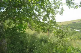 Land For Sale, For Investment, Satskhenisi