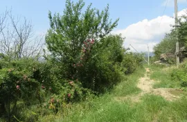 Land For Sale, For Investment, Satskhenisi