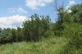 Land For Sale, For Investment, Satskhenisi
