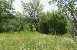 Land For Sale, For Investment, Satskhenisi