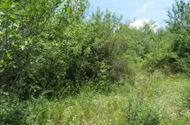 Land For Sale, For Investment, Satskhenisi