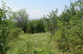 Land For Sale, For Investment, Satskhenisi