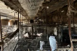 Продается , Производственный участок, Сагареджо