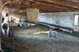 Продается , Производственный участок, Сагареджо