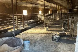 Продается , Производственный участок, Сагареджо