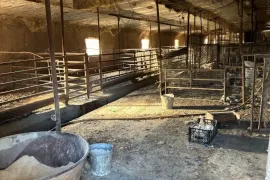 Продается , Производственный участок, Сагареджо