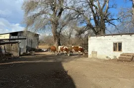 For Sale , Industrial area, Sagarejo