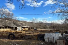 Продается , Производственный участок, Сагареджо