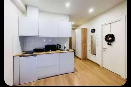 Daily Rent, 3 Room, Borjomi , Bakuriani