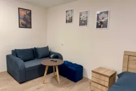 ქირავდება ბინა, 1 ოთახიანი, ძველი აშენებული, თბილისი