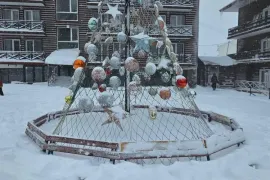 ქირავდება ბინა დღიურად, 2 ოთახიანი, ახალი აშენებული, ბორჯომი, ბაკურიანი