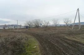 Land For Sale, Agricultural, Mukhrani