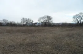 Land For Sale, Agricultural, Mukhrani