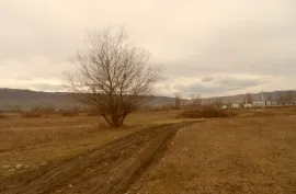 იყიდება მიწის ნაკვეთი, სასოფლო - სამეურნეო, მუხრანი