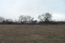 Land For Sale, Agricultural, Mukhrani