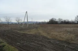 Land For Sale, Agricultural, Mukhrani