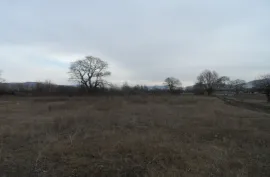 Land For Sale, Agricultural, Mukhrani