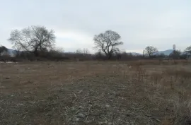 Land For Sale, Agricultural, Mukhrani