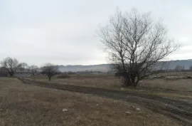 Land For Sale, Agricultural, Mukhrani