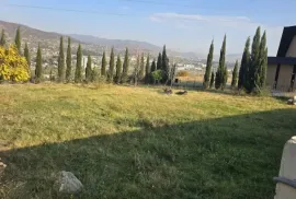 იყიდება მიწის ნაკვეთი, სასოფლო - სამეურნეო, ქოშიგორა