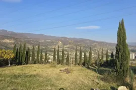 Land For Sale, Agricultural, Koshigora