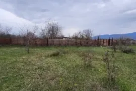 იყიდება მიწის ნაკვეთი, სასოფლო - სამეურნეო, ჯიღაურა