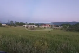 იყიდება მიწის ნაკვეთი, სასოფლო - სამეურნეო, ჯიღაურა