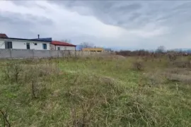 იყიდება მიწის ნაკვეთი, სასოფლო - სამეურნეო, ჯიღაურა